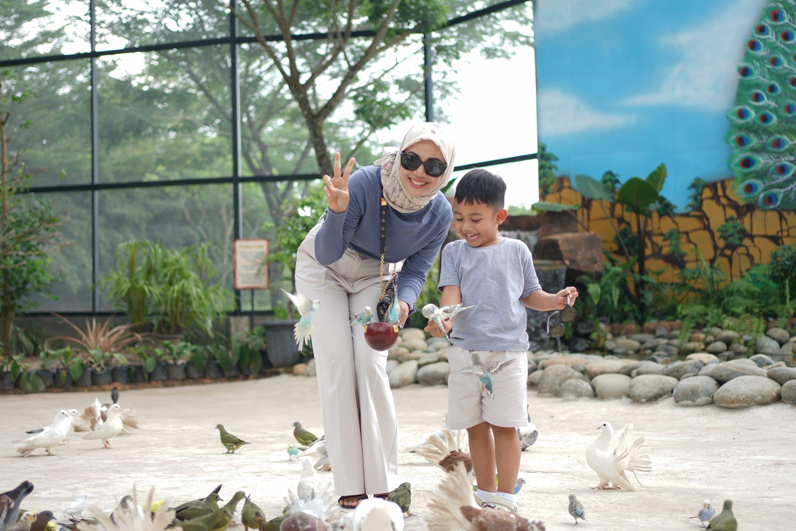 Aviary